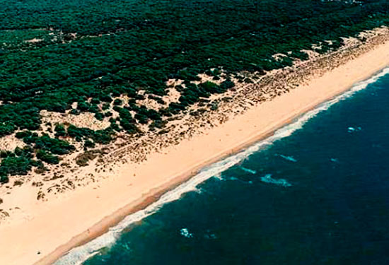 playa los enebrales
